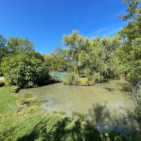 Rive Charente La Bords