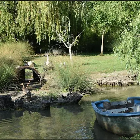 Rive Charente La Bords