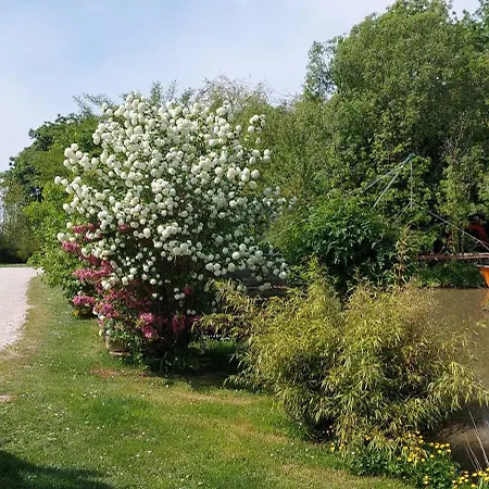Rive Charente La Hébergement de vacances