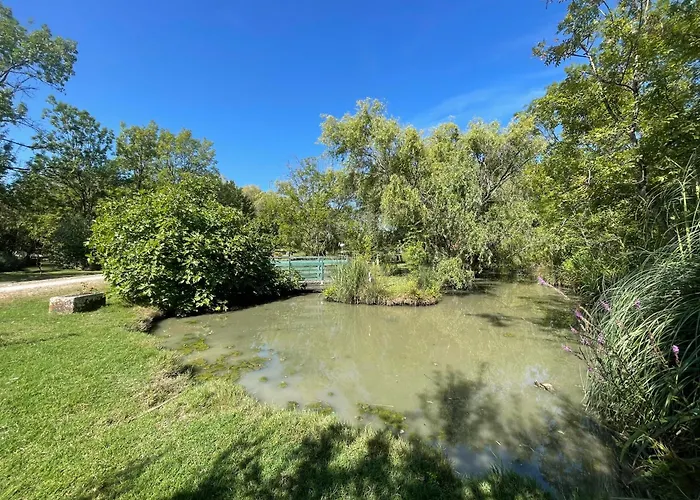 Rive Charente La Bords